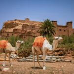 4-Day Desert Tour from fes to Merzouga
