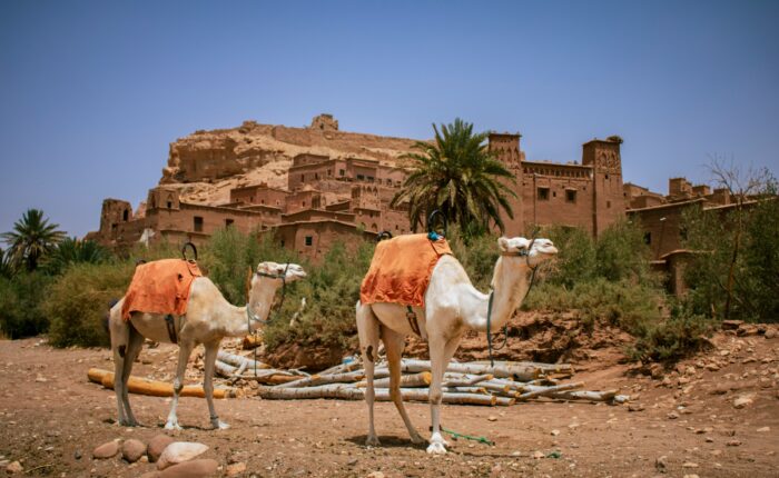 4-Day Desert Tour from fes to Merzouga