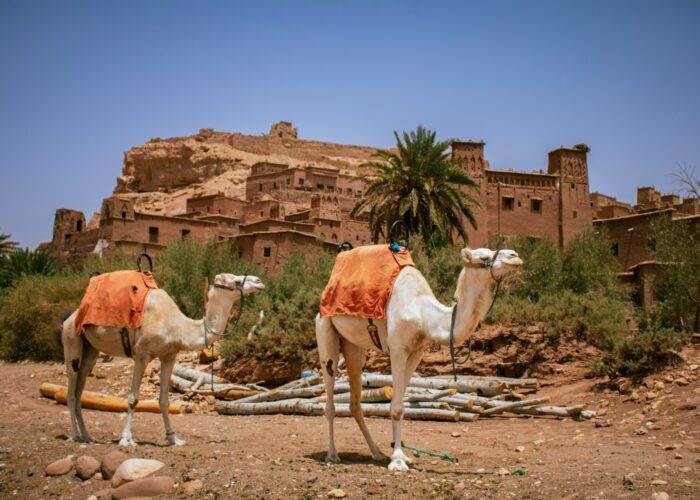 4-Day Desert Tour from fes to Merzouga