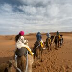 3-Day Desert Trip from fes to Marrakech