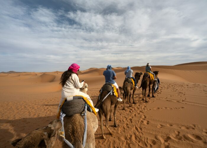 3-Day Desert Trip from fes to Marrakech