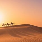 3-Day Desert Tour from Errachidia To Marrakech