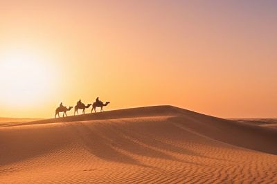 3-Day Desert Tour from Errachidia To Marrakech