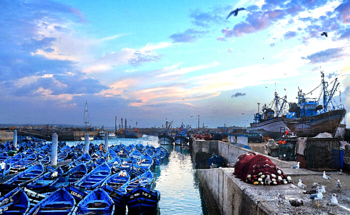 1-Day Trip from Marrakech to Essaouira