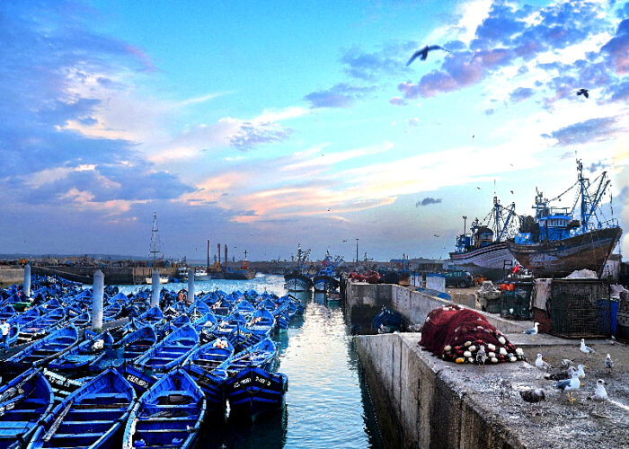1-Day Trip from Marrakech to Essaouira