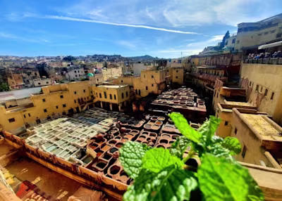 Fes Bojlood