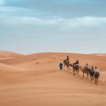 3-Day Desert Tour from Errachidia To Marrakech