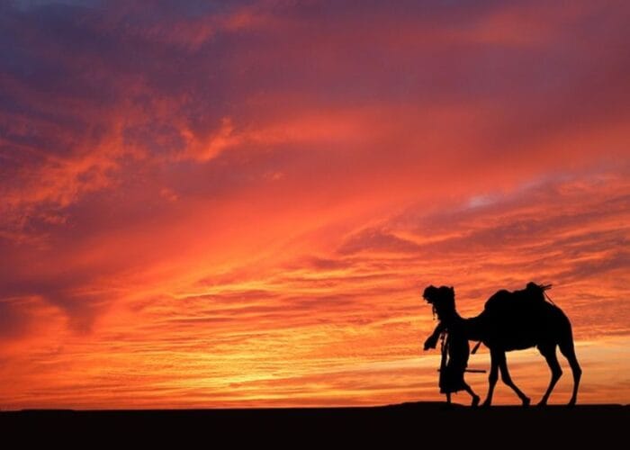 Camel caravan riding across golden Erg Chebbi sand dunes at sunset on a 7 days Morocco tour from Marrakech