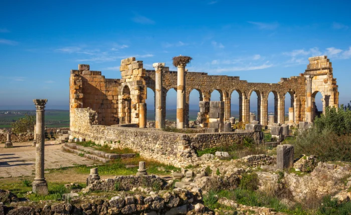 16Day Trip from Fes to Volubilis & Meknes