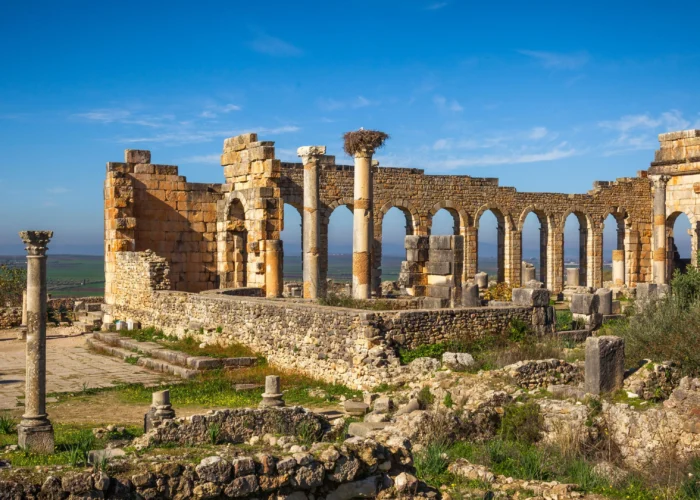 1-Day Trip from Fes to Volubilis & Meknes