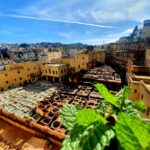 13-Day Morocco Desert Tour from Casablanca