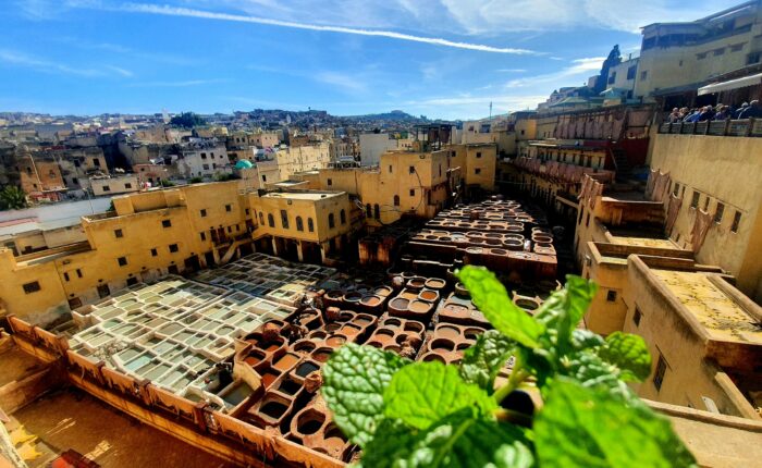 13-Day Morocco Desert Tour from Casablanca
