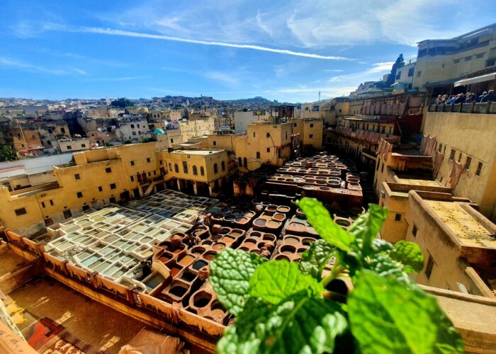 13-Day Morocco Desert Tour from Casablanca