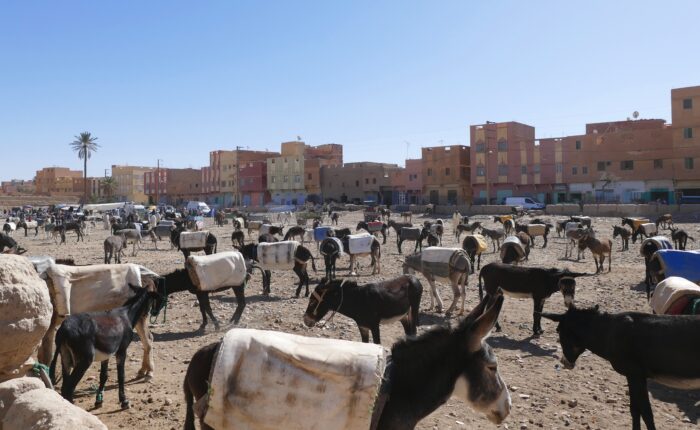 Morocco People – History, Culture, and Daily Life
